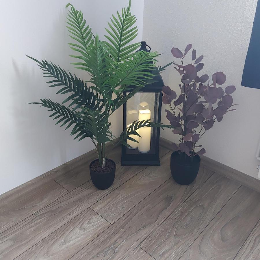Apartament Antonias Făgăraş Extérieur photo